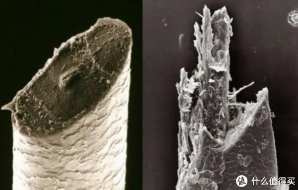 电动剃须刀哪款好