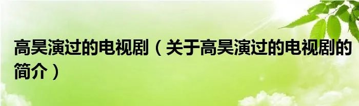 高昊演过的电视剧（关于高昊演过的电视剧的简介）