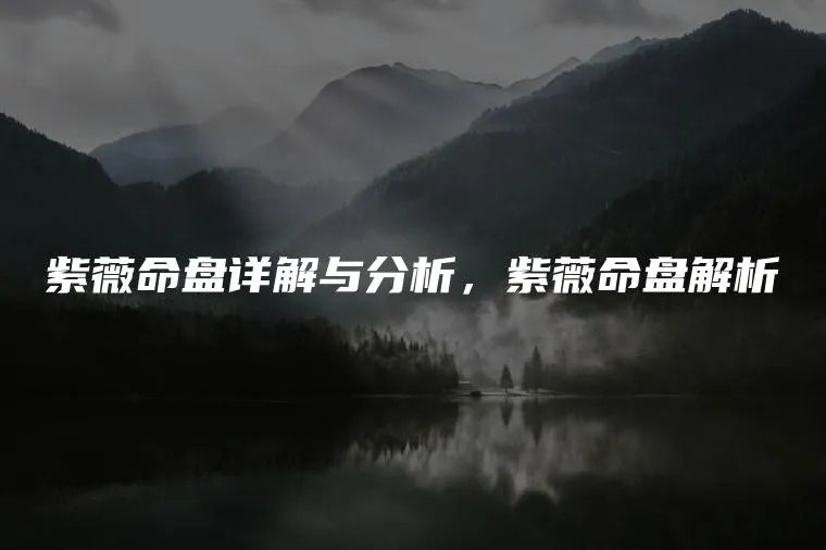 紫薇命盘详解与分析，紫薇命盘解析