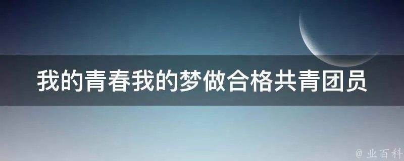 我的青春我的梦做合格共青团员