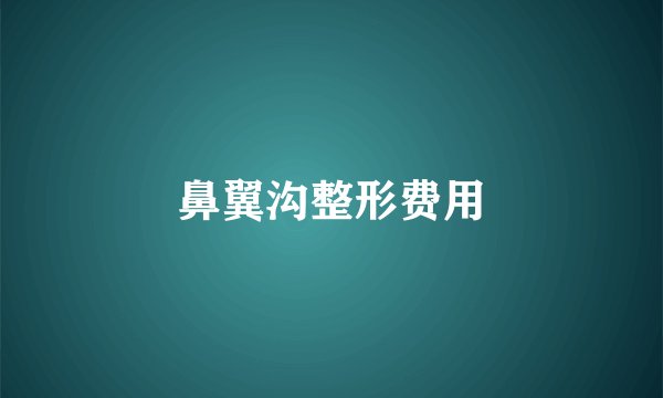 鼻翼沟整形费用