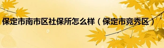 保定市南市区社保所怎么样（保定市竞秀区）