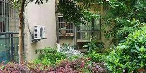 四川一小区绿化带发现男尸,是轻生还是另有隐情?