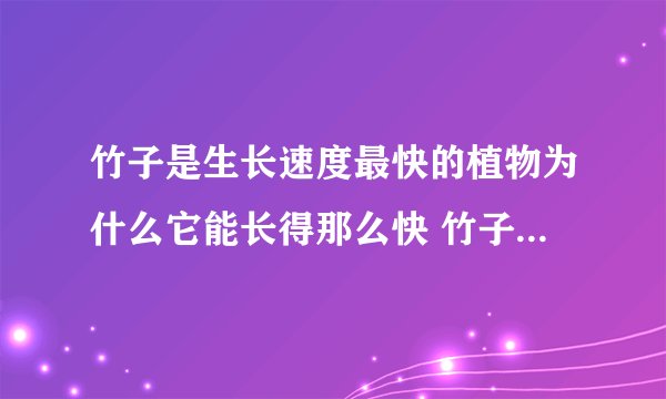 竹子是生长速度最快的植物为什么它能长得那么快 竹子快速生长是什么原因