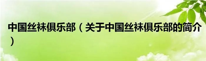 中国丝袜俱乐部（关于中国丝袜俱乐部的简介）