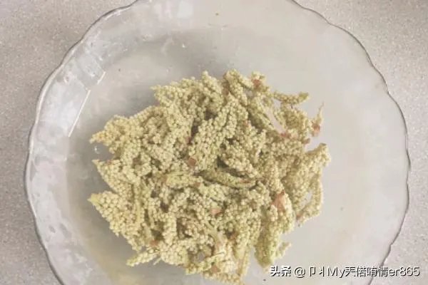 棕树花苞吃法大全