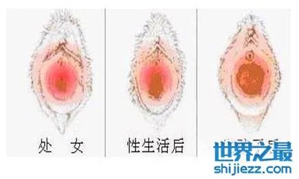 最真实的女人私长处啥样图片,擦下口水禁止幻想