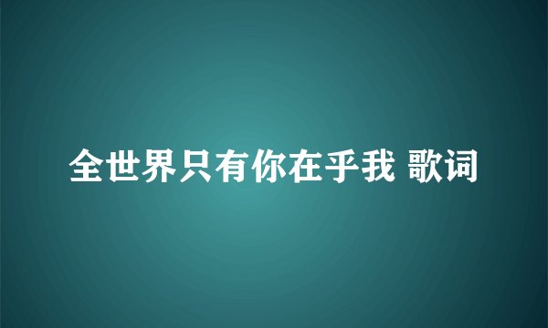 全世界只有你在乎我 歌词
