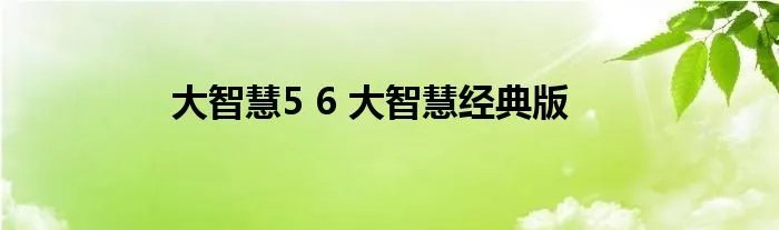 大智慧5 6 大智慧经典版
