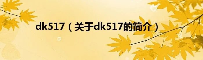 dk517（关于dk517的简介）