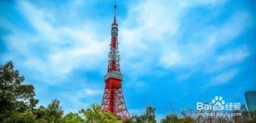 2019女排世界杯赛程安排