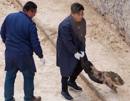 王宝强下乡抓猪是什么节目？