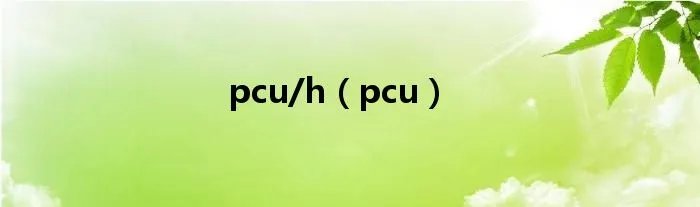 pcu/h（pcu）