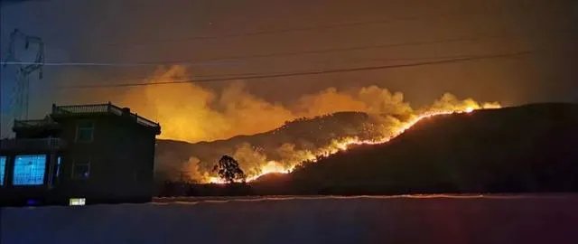 西昌山火为什么会死这么多人?