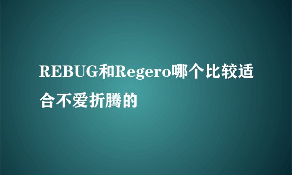 REBUG和Regero哪个比较适合不爱折腾的