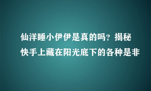 仙洋睡小伊伊是真的吗？揭秘快手上藏在阳光底下的各种是非