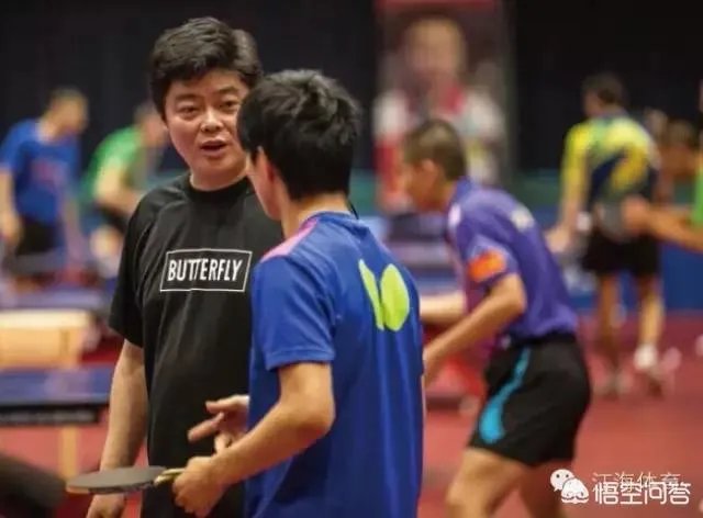 樊振东输张本智和