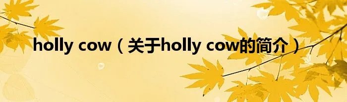 holly cow（关于holly cow的简介）