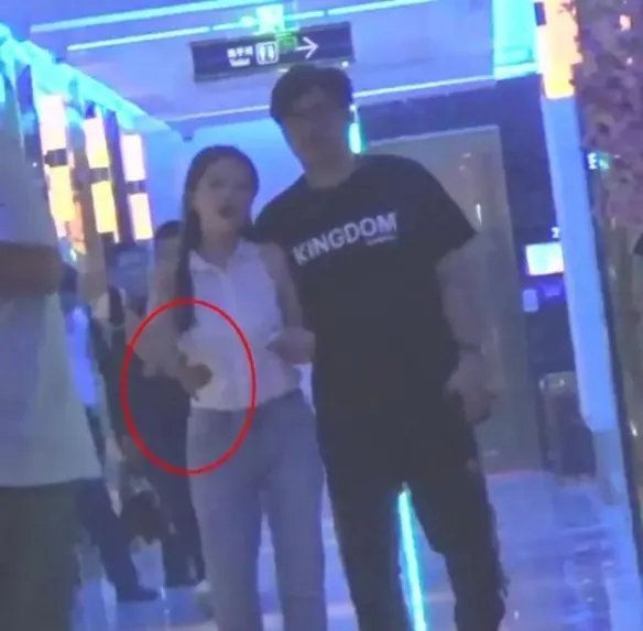 李湘王岳伦名下公司已注销 李湘王岳伦公司注销