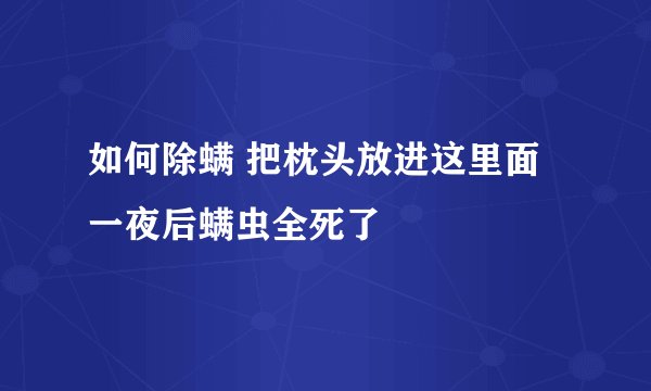 如何除螨 把枕头放进这里面一夜后螨虫全死了