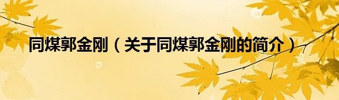 同煤郭金刚（关于同煤郭金刚的简介）