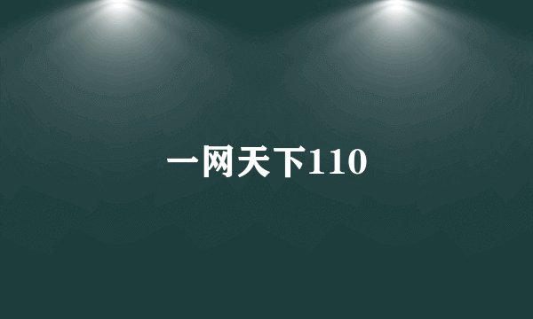 一网天下110