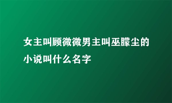 女主叫顾微微男主叫巫朦尘的小说叫什么名字