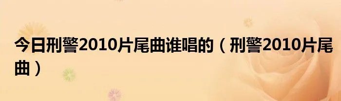 今日刑警2010片尾曲谁唱的（刑警2010片尾曲）