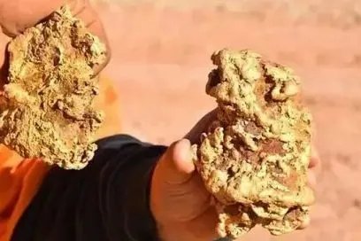 澳大利亚淘金客挖出两块黄金，他是在哪里挖到的？