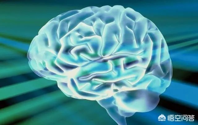 科学家成功复活死亡猪脑，意味着什么？