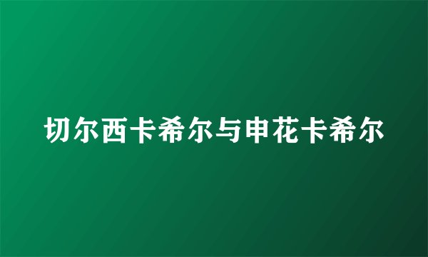 切尔西卡希尔与申花卡希尔