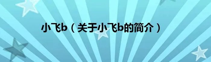 小飞b（关于小飞b的简介）