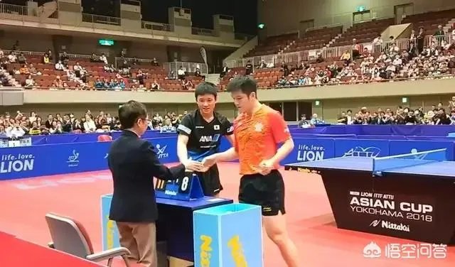 樊振东输张本智和