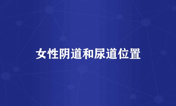 女性阴道和尿道位置