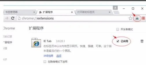 谷歌浏览器外贸版