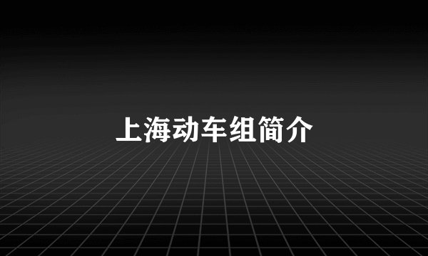 上海动车组简介