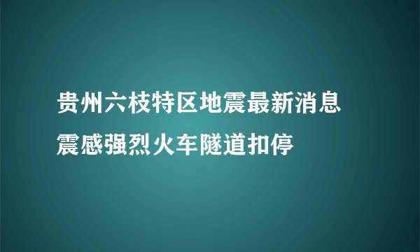 贵州六枝特区地震最新消息 震感强烈火车隧道扣停