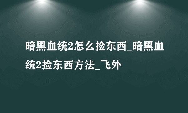 暗黑血统2怎么捡东西_暗黑血统2捡东西方法_飞外
