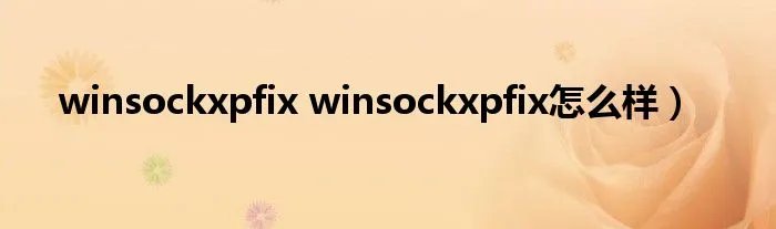 winsockxpfix winsockxpfix怎么样）