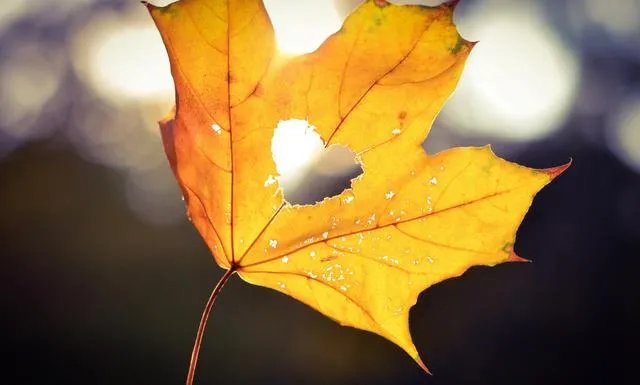 怀孕女子回娘家途中失联10年究竟是怎么回事？