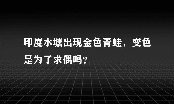 印度水塘出现金色青蛙，变色是为了求偶吗？