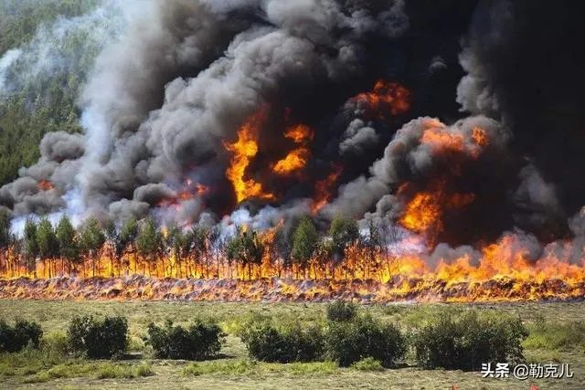 西昌山火为什么会死这么多人?