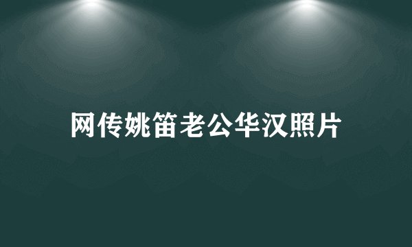 网传姚笛老公华汉照片