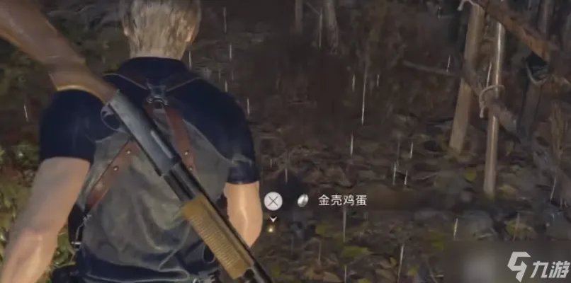 生化危机4重制版寻蛋启事怎么做寻蛋启事完成流程解析