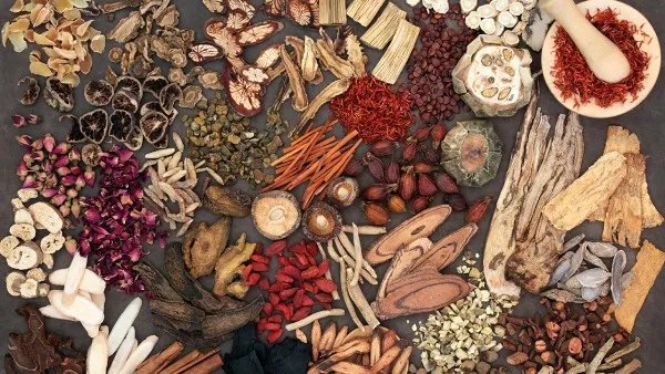 茶树精油的功效与作用 茶树精油祛痘怎么样