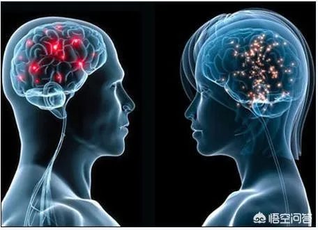 科学家成功复活死亡猪脑，意味着什么？