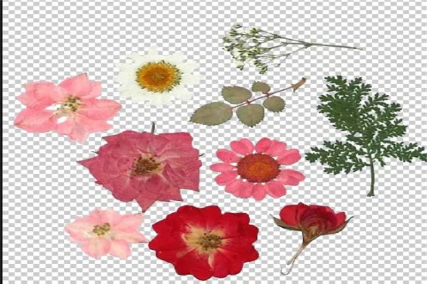 2020抖音最热歌曲排名前十：往后余生上榜，它为纪念马航