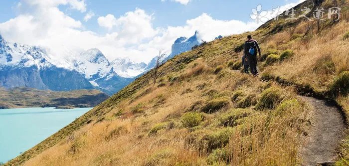 【儿童选择奖】什么是儿童选择奖