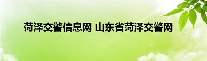 菏泽交警信息网 山东省菏泽交警网