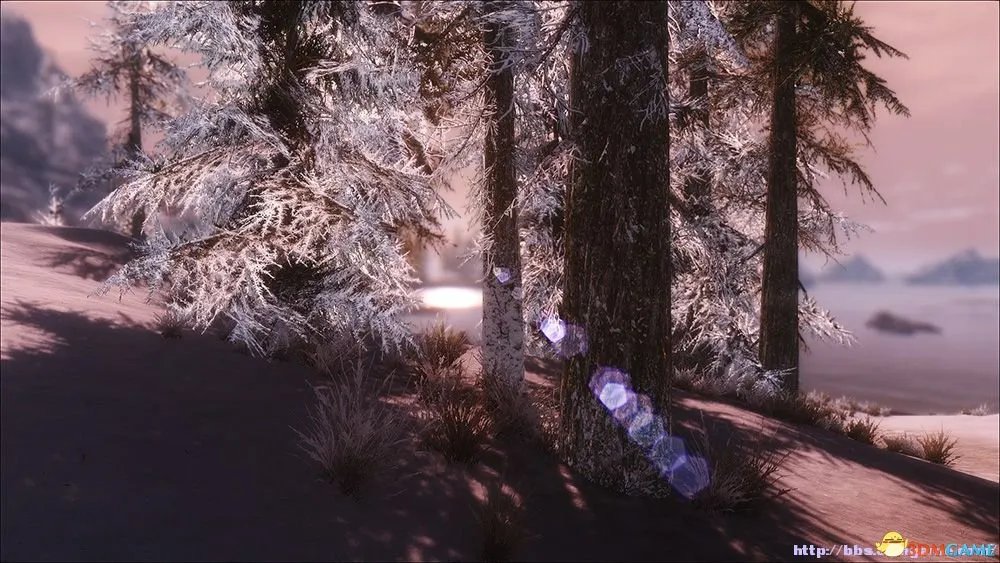 上古卷轴5 END 阳光环境 人物美化MOD整合包